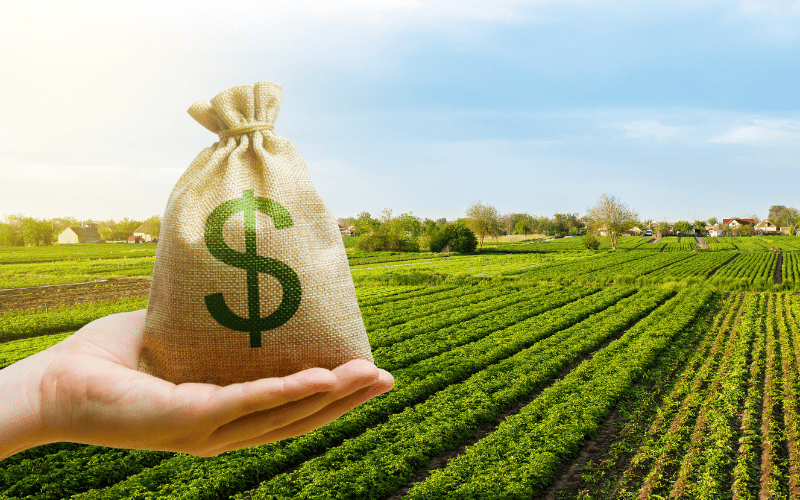 Uma imagem de exemplo para o site.